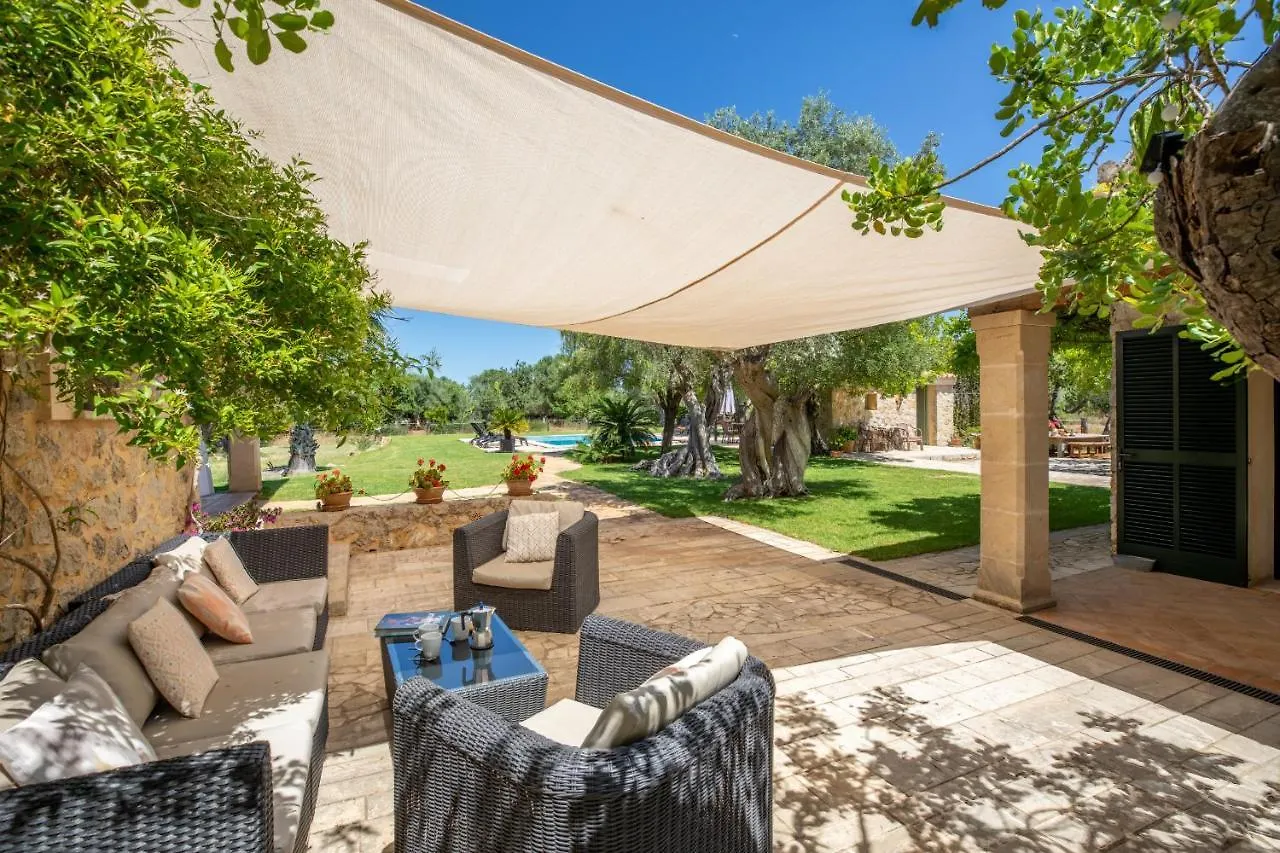 Dom wakacyjny Selva - 38903 Mallorca