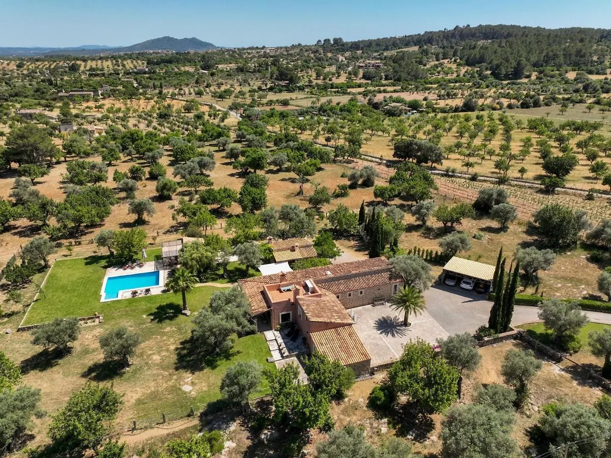 Dom wakacyjny Selva - 38903 Mallorca