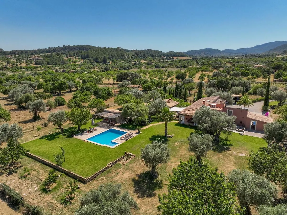 Dom wakacyjny Selva - 38903 Mallorca